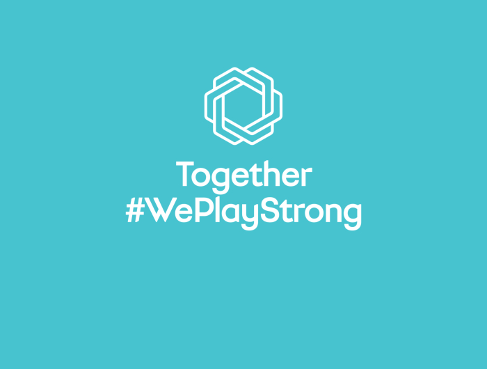 “Together We Play Strong” proqramı ilə bağlı seminar 