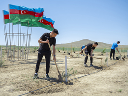 AFFA nümayəndələri ağacəkmə aksiyasında iştirak ediblər